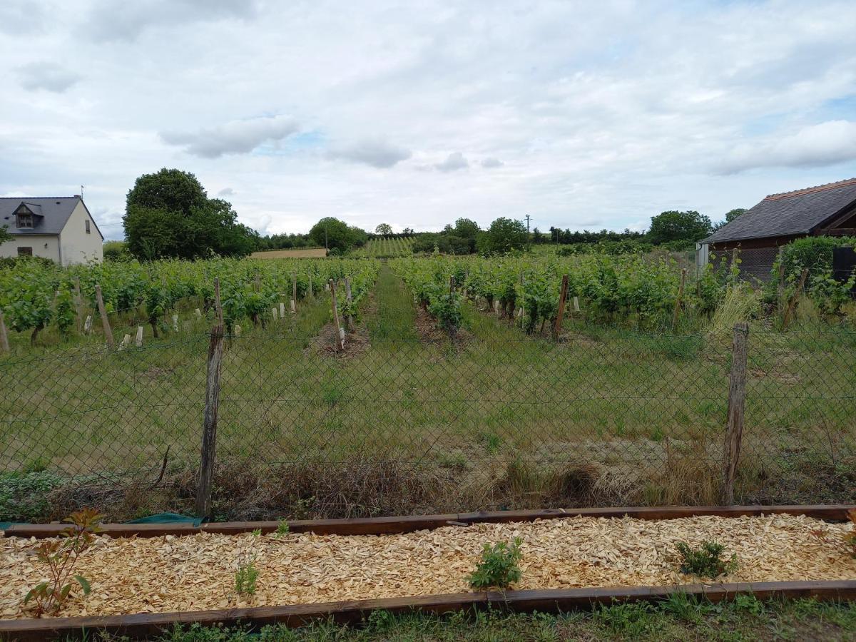 Hebergement Sarment Du Veron Chinon Villa Beaumont-en-Veron Bagian luar foto