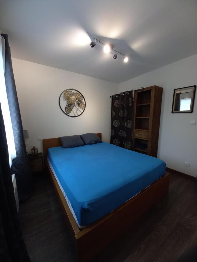 Hebergement Sarment Du Veron Chinon Villa Beaumont-en-Veron Bagian luar foto