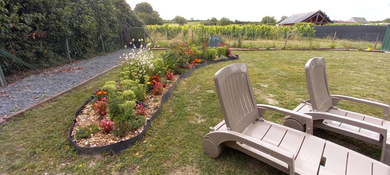 Hebergement Sarment Du Veron Chinon Villa Beaumont-en-Veron Bagian luar foto